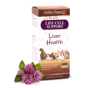 Life Cell Support