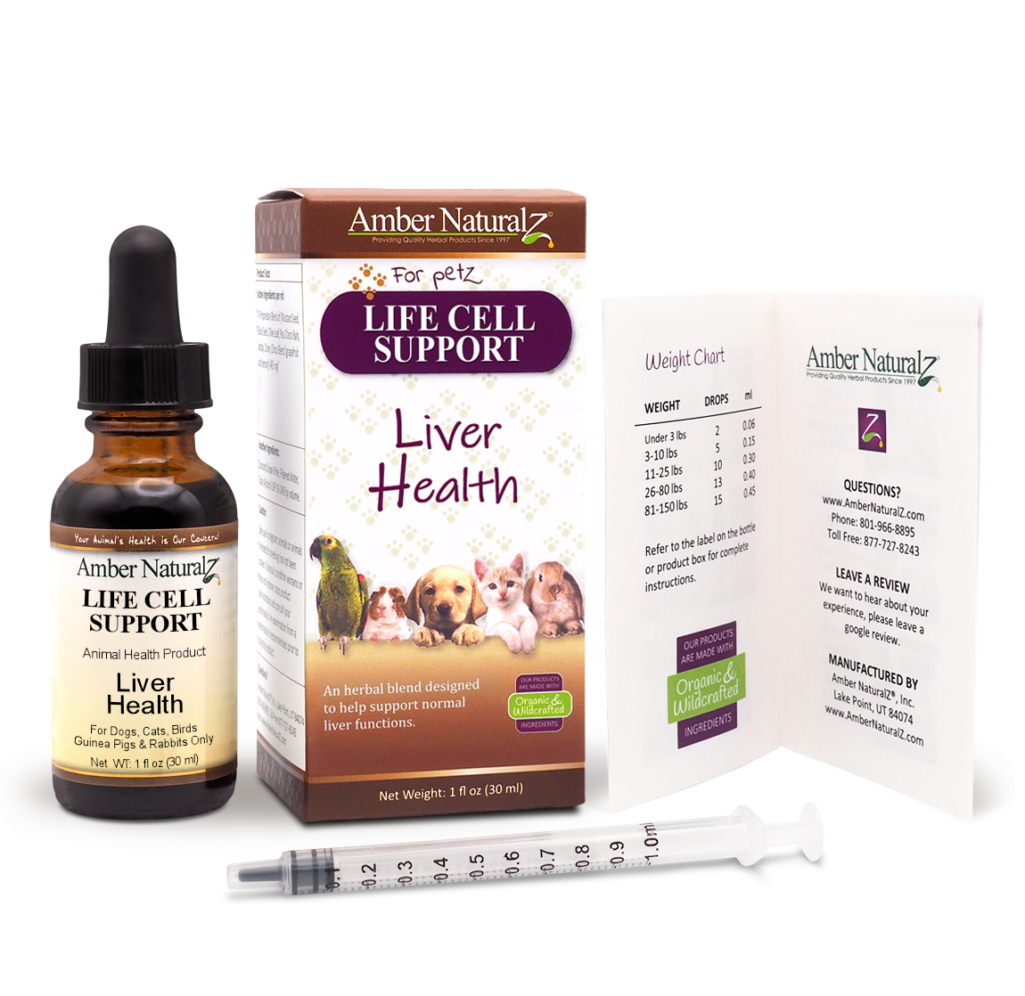 Life Cell Support - Image 2