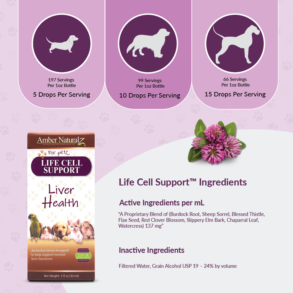 Life Cell Support - Image 3