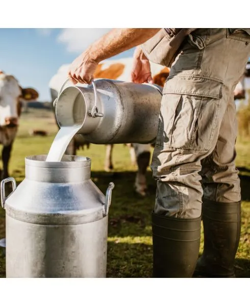 Whey Protein - 16.8 oz - Image 5