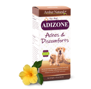 Adizone For Dogs