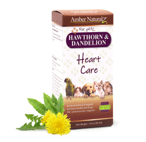 Hawthorn & Dandelion