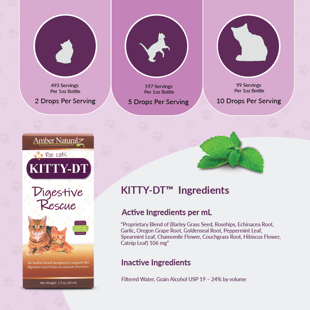Kitty DT - Image 3
