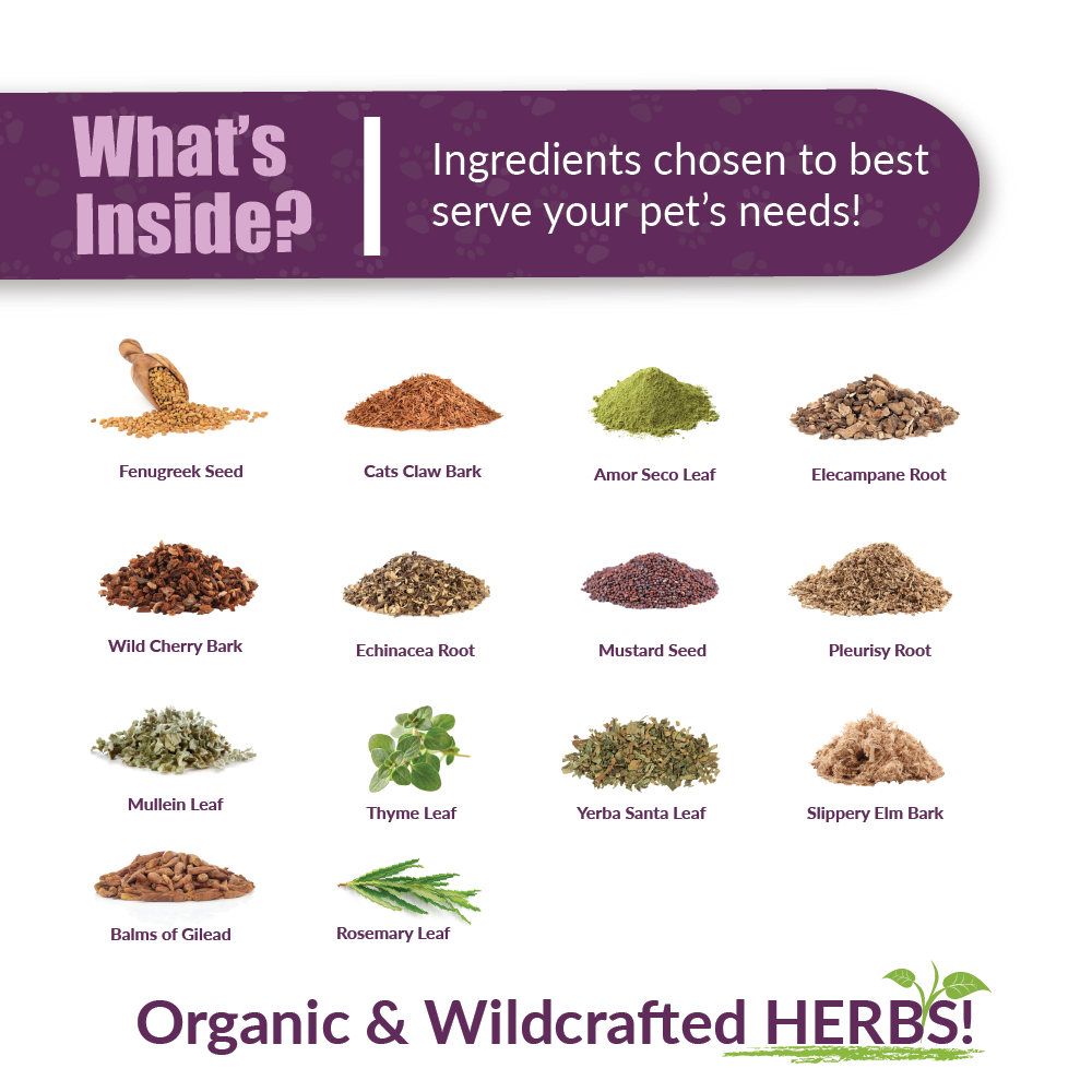 Numo Care Dog - Image 2