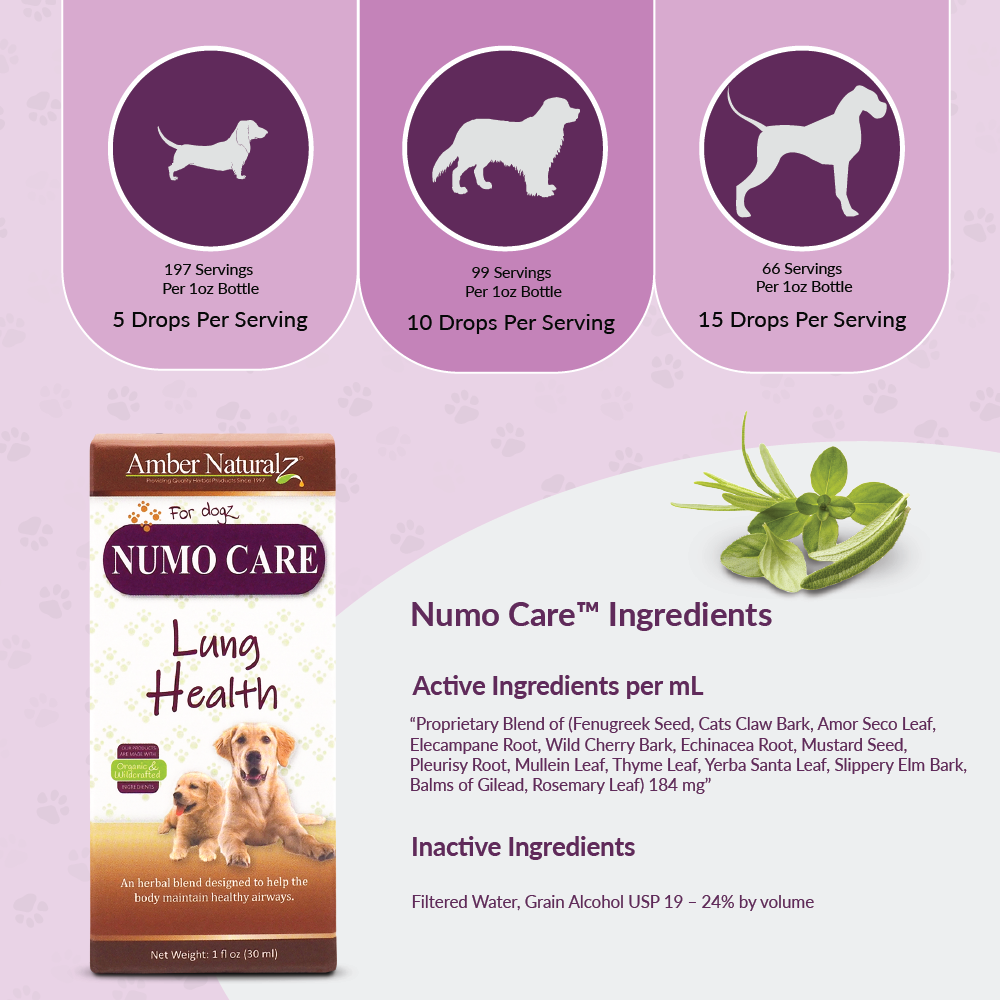 Numo Care Dog - Image 3