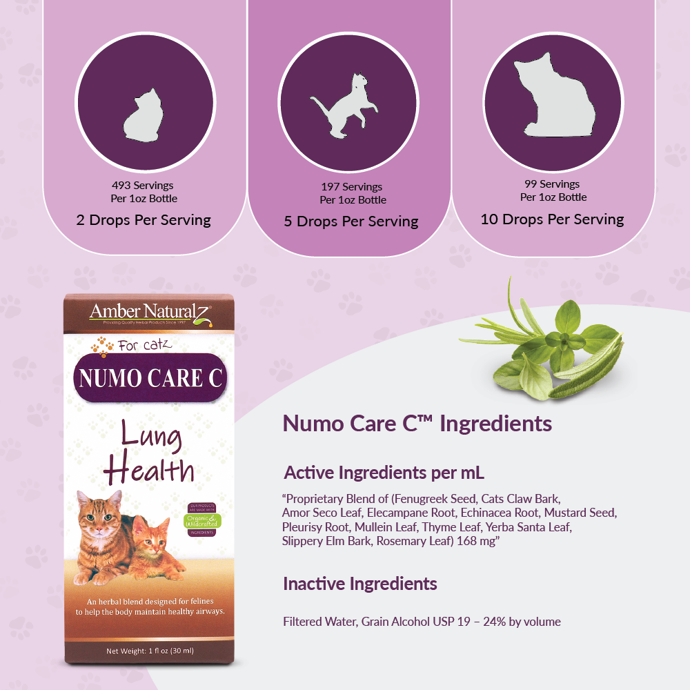 Numo Care Cat - Image 3
