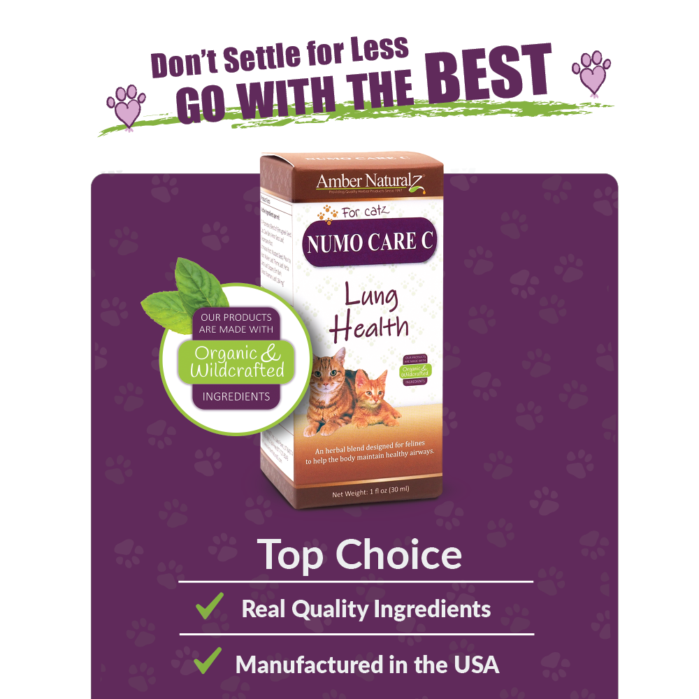 Numo Care Cat - Image 4