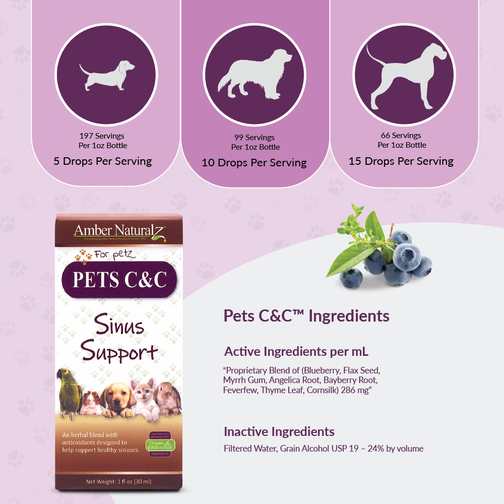 Pet C&C - Image 3