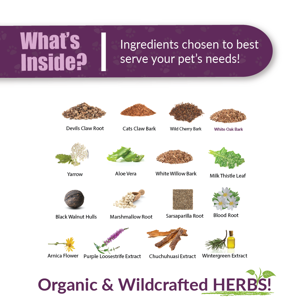 Pets Skin Cream - Image 2
