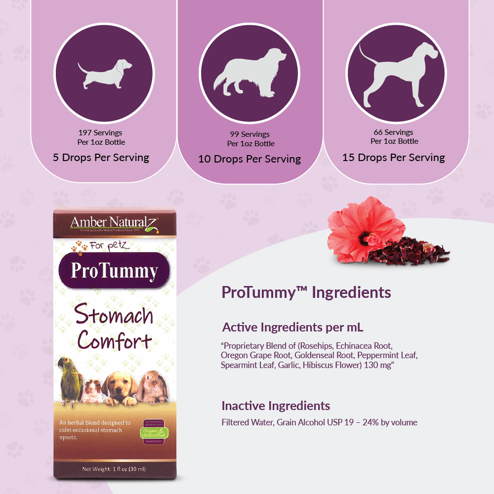 Pro Tummy - Image 3