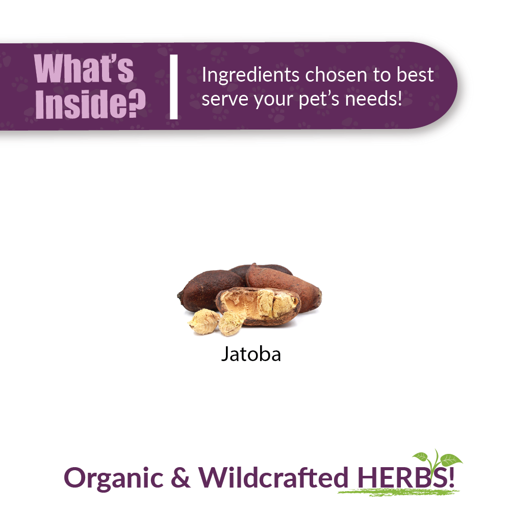 Jatoba - Image 4