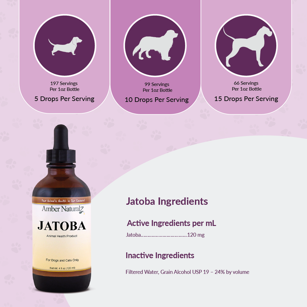 Jatoba - Image 2
