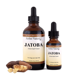 Jatoba
