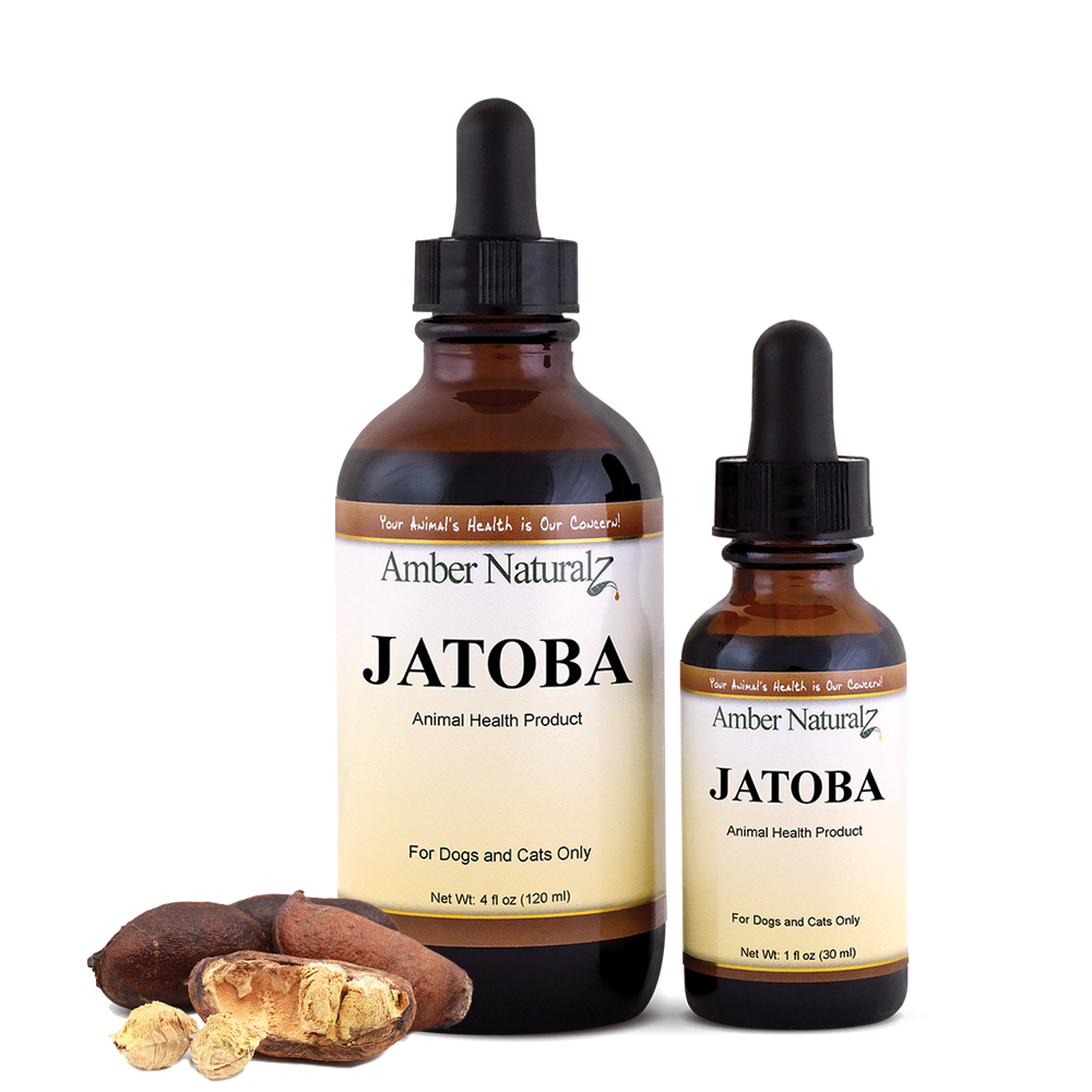 Jatoba