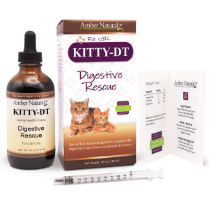 Kitty DT