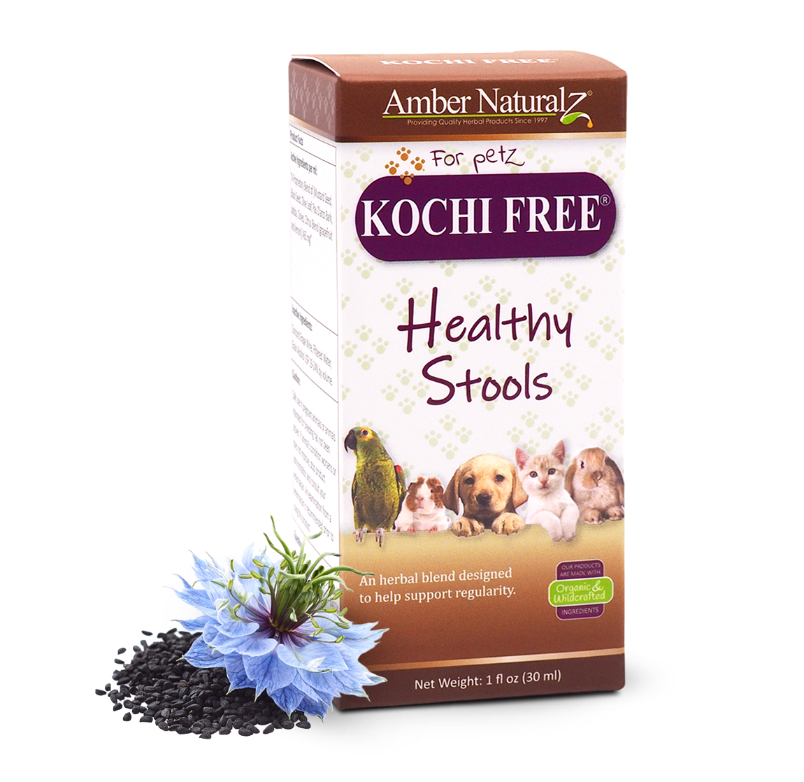 Kochi Free - Image 6