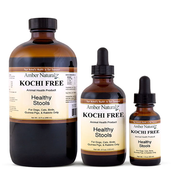 Kochi Free - Image 5
