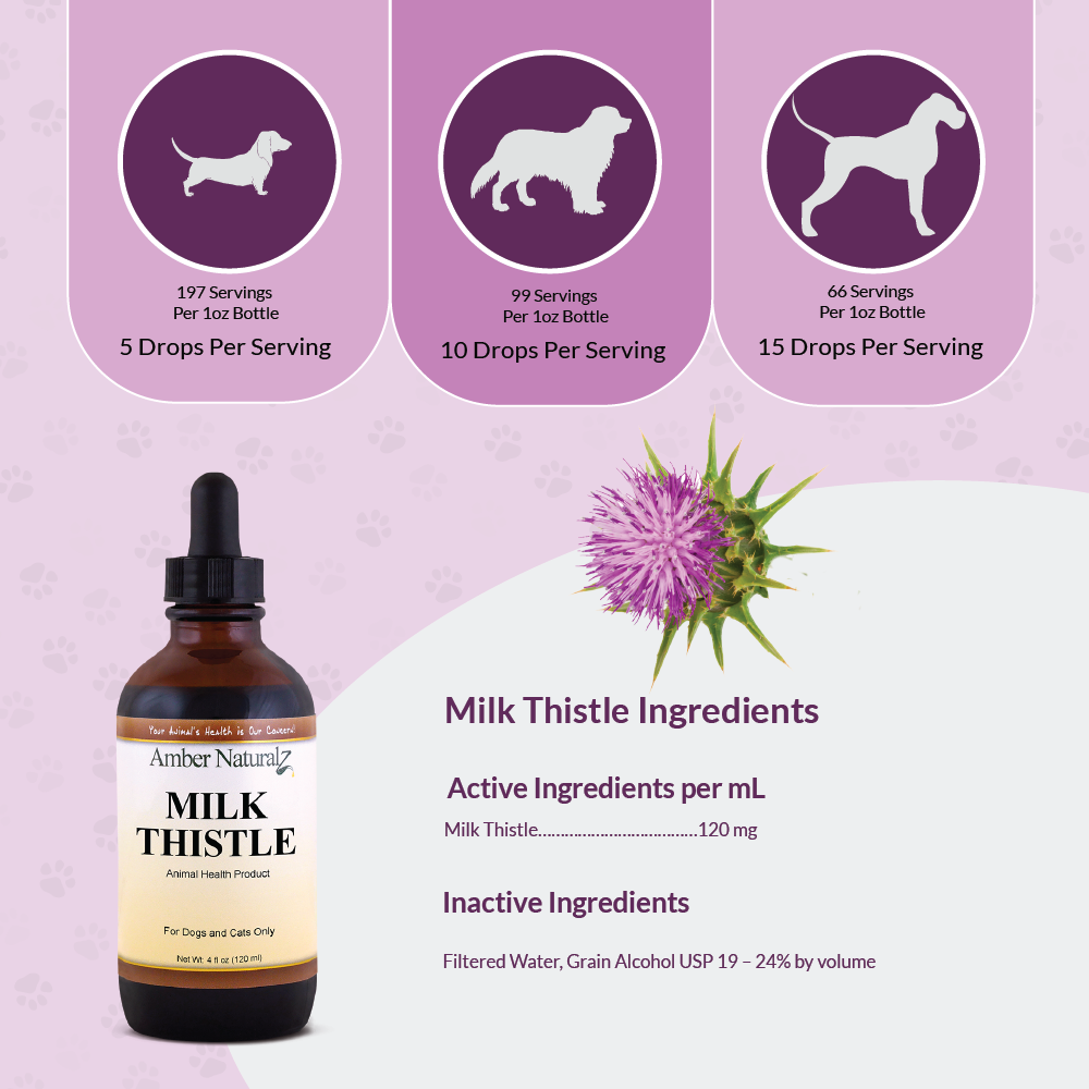 Milk Thistle - Image 3