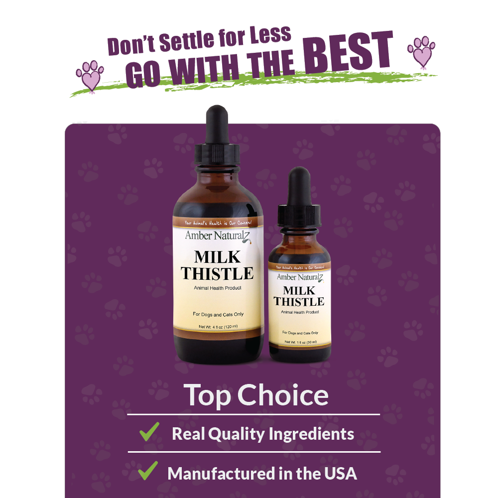 Milk Thistle - Image 4