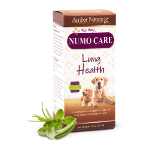 Numo Care Dog