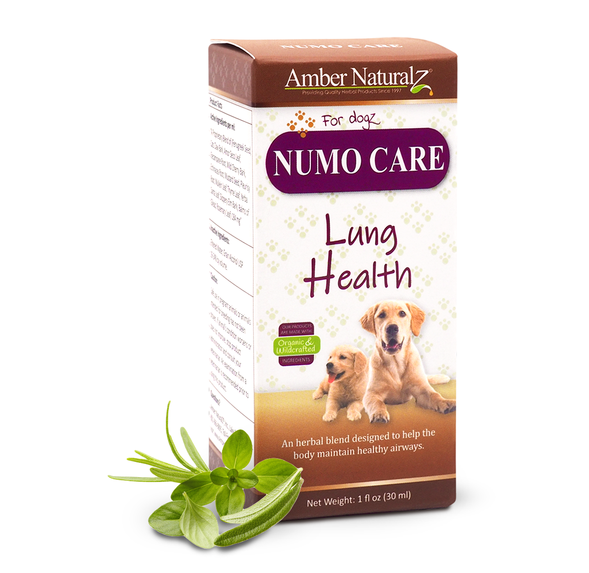 Numo Care Dog