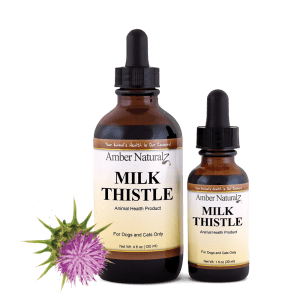 Milk Thistle