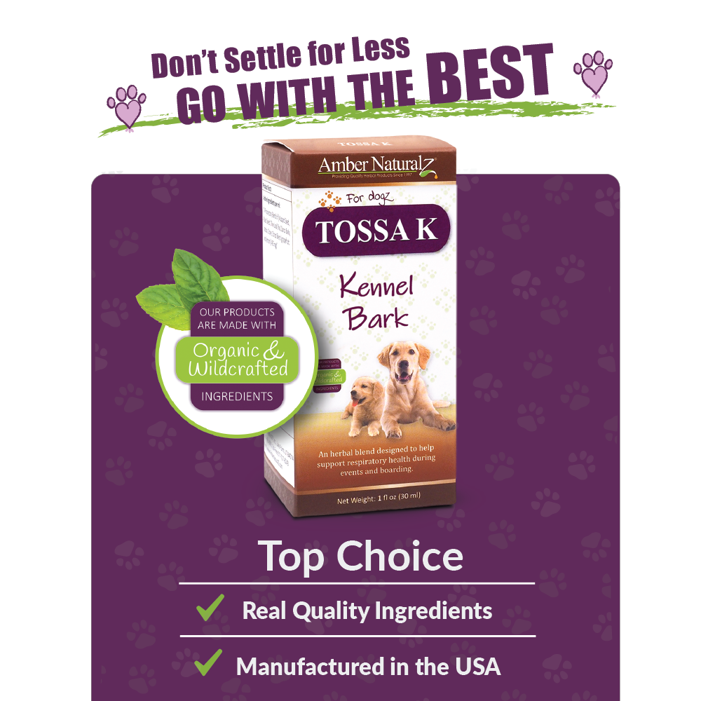 Tossa K - Image 4