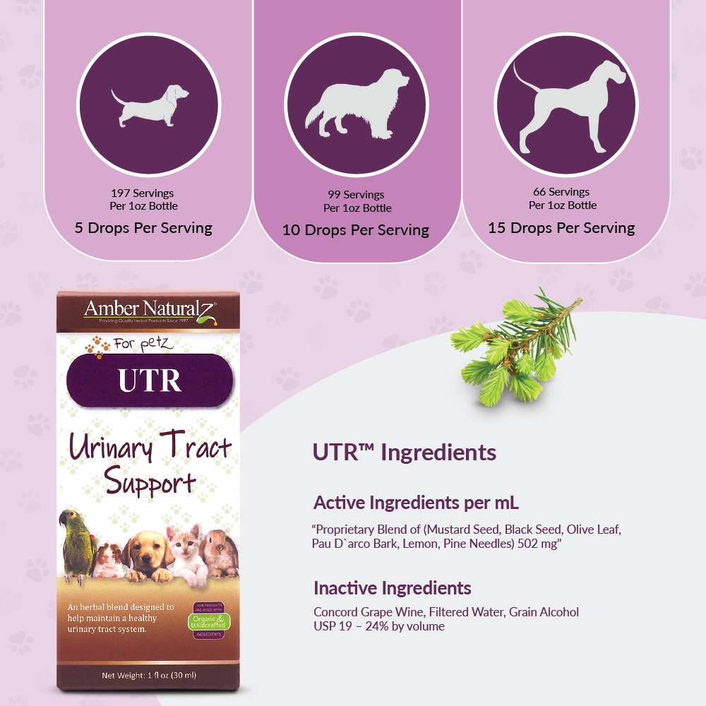 UTR - Image 3