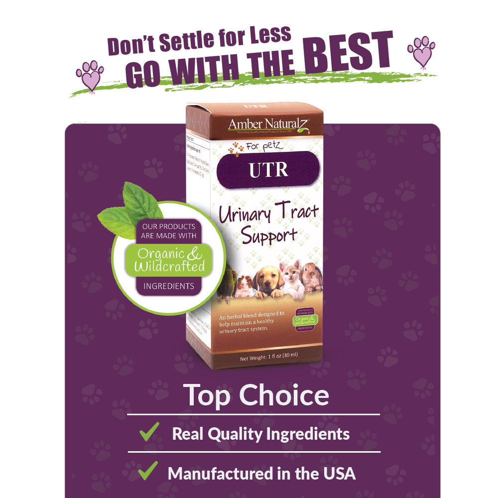 UTR - Image 4