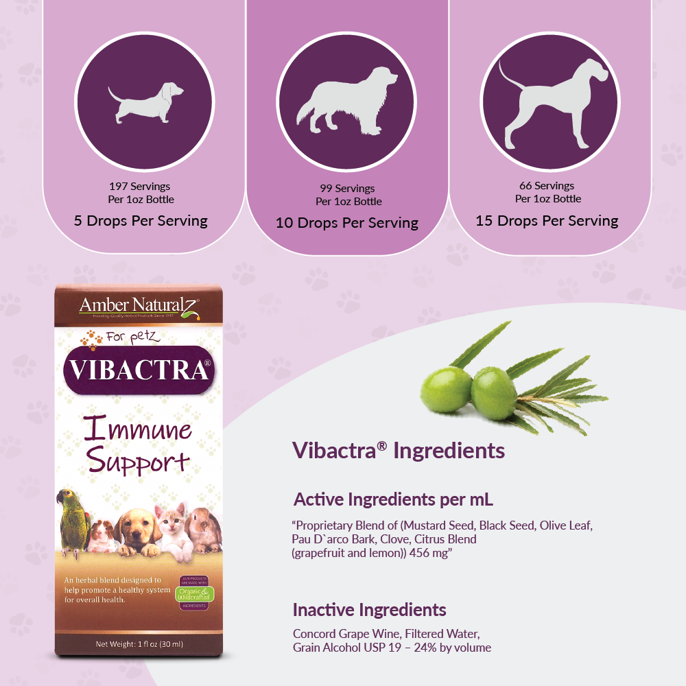 Vibactra - Image 3