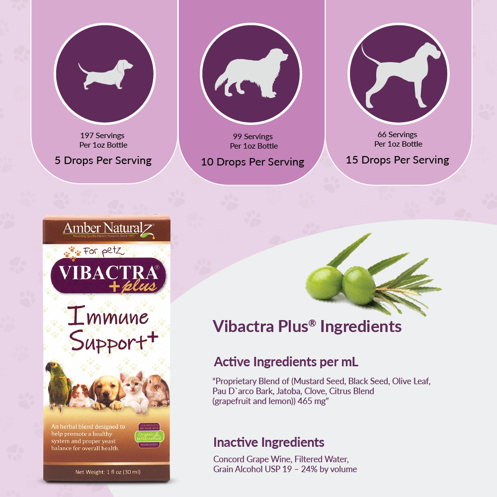 Vibactra Plus - Image 3