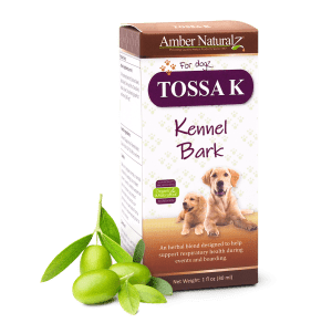 Tossa K