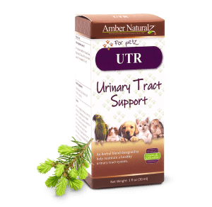 UTR