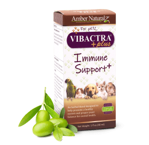 Vibactra Plus