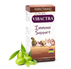 Vibactra