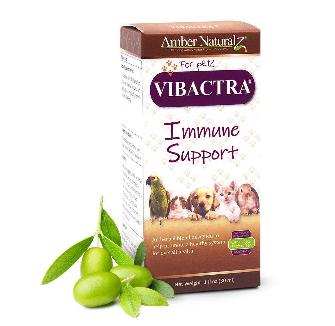 Vibactra